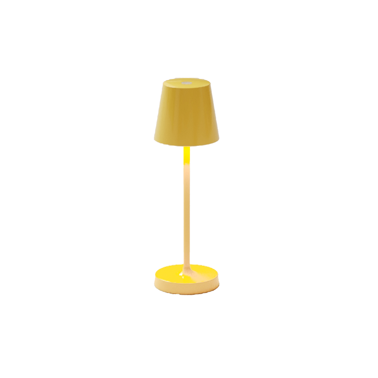 Mini-TN-AMC-copiar