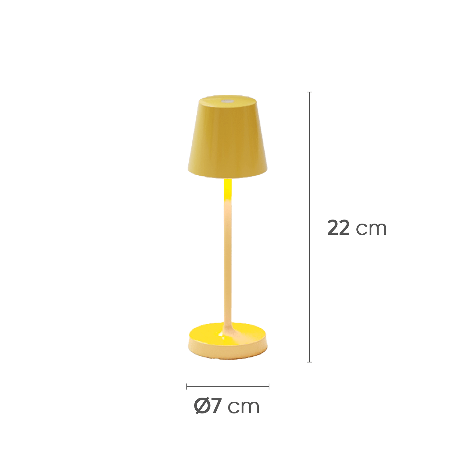 Mini-TN-AMC-Medida-copiar